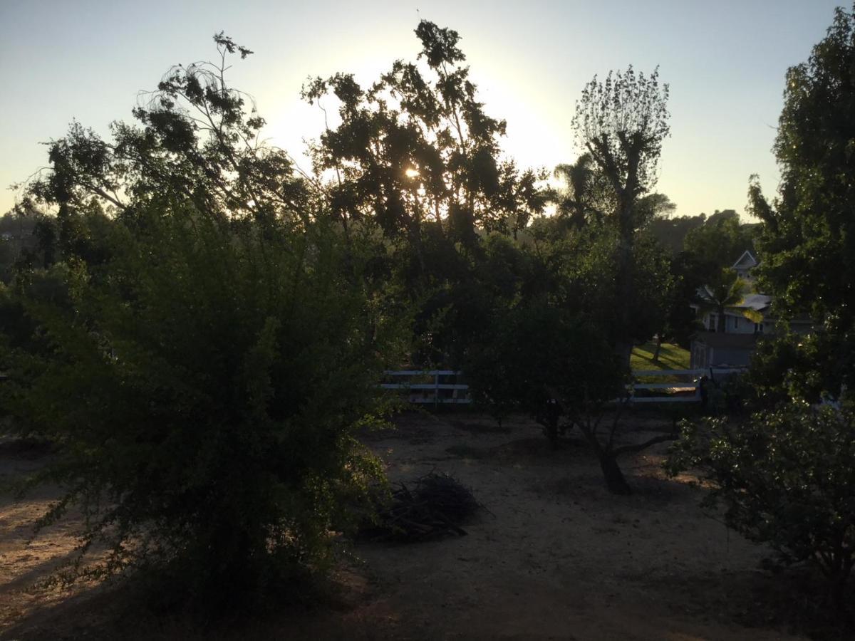 Beautiful New Detached Casita Nestled In Scenic Southern Ca Foothills! Фоллбрук Экстерьер фото