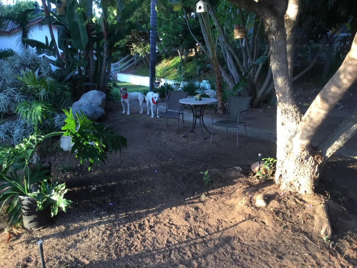 Beautiful New Detached Casita Nestled In Scenic Southern Ca Foothills! Фоллбрук Экстерьер фото