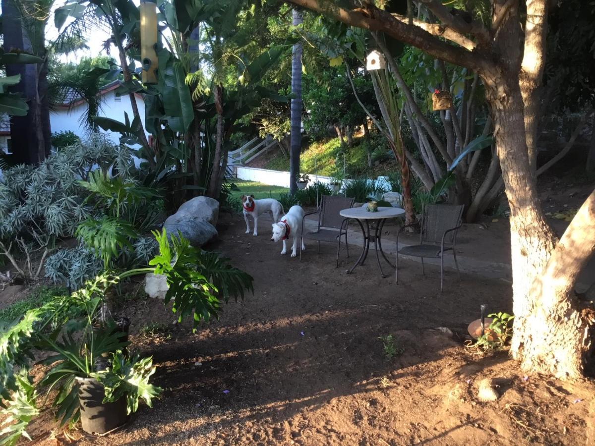 Beautiful New Detached Casita Nestled In Scenic Southern Ca Foothills! Фоллбрук Экстерьер фото